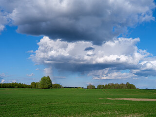 countryside farm meadow with fresh cut green grass