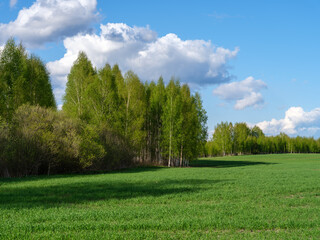 Fototapeta premium countryside farm meadow with fresh cut green grass