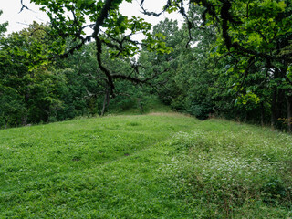countryside farm meadow with fresh cut green grass