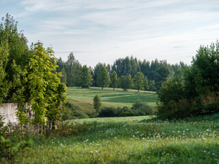 Fototapeta na wymiar countryside farm meadow with fresh cut green grass