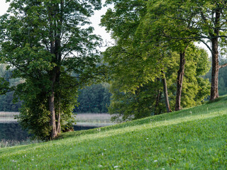 Obraz premium countryside farm meadow with fresh cut green grass