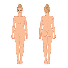 Fototapeta premium Woman body front and back view vector illustration. Isolated outline line contour color template girl without clothes. Anatomy of healthy female body shapes. Female figure vector human body in linear