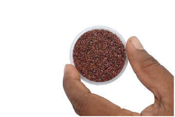 Overhead view of the tiny red Garnet mineral pieces filled on a small round tray is held by the two...