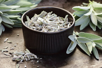 Dried clary sage in a bowl with fresh leaves and a cup of tea on texture black background, green...
