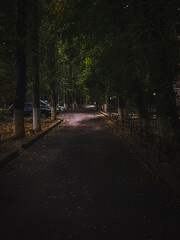 alley in the park