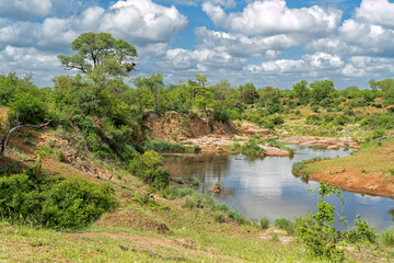 Landscape in the north part of Kruger National Park in South Africa in the green season