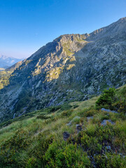 Fototapeta na wymiar paesaggio alpino presso passo san marco