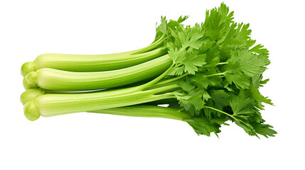 fresh green celery isolated on transparent background - obrazy, fototapety, plakaty