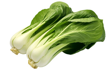  Bok Choy isolated on a white background, png