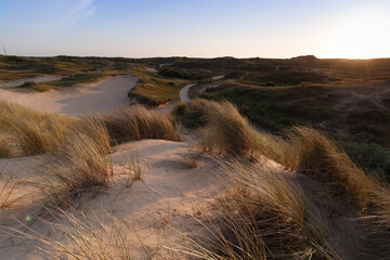 View of the dunes