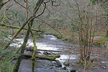 River Teign at Fingle Bridge, Devon