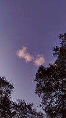 beau paysage en pleine nature