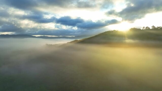 Mystical sunrise paints the tropical forest and plantation area with a soft, ethereal veil of fog. Aerial drone captures nature's enchanting embrace. Ranong, Thailand. Nature concept.
