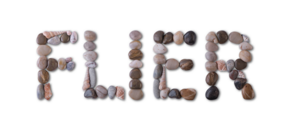 The word "FLIER" is lined with shells and stones of different shapes and colors on a transparent background. Types of fish and seafood, price tag, sea food, fish market, sea alphabet.