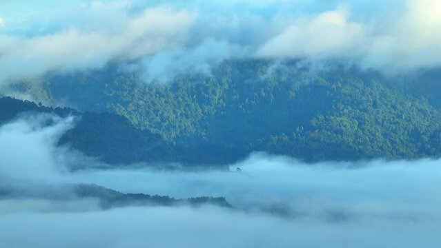 The forest and mountains are separated by an expanse of velvety green, where valleys and ravines are filled with a delicate haze that ebbs and flows with the gentle breeze. Ranong Province, Thailand.
