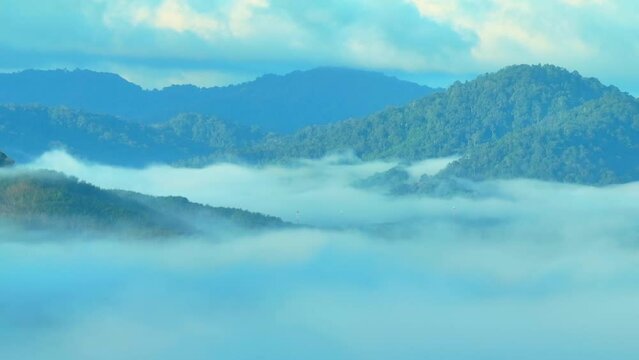 The fog, with its soft touch, adds an aura to the landscape, The forest exudes an air of mystery and tranquility, a sanctuary untouched by the hustle and bustle of the modern world. Ranong, Thailand.
