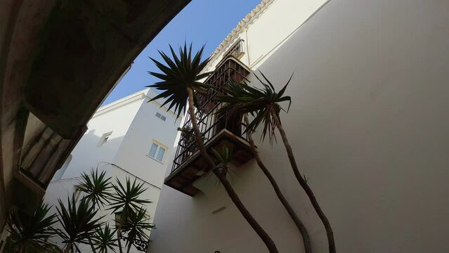 calle de pueblo andalu, ventada con rejas y palmera ondeando al viento