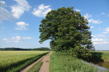 Obraz premium An der Gersprenz zwischen Muenster und Babenhausen
