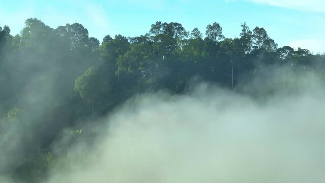 The forest and mountains are separated by an expanse of velvety green, where valleys and ravines are filled with a delicate haze that ebbs and flows with the gentle breeze. Ranong Province, Thailand.
