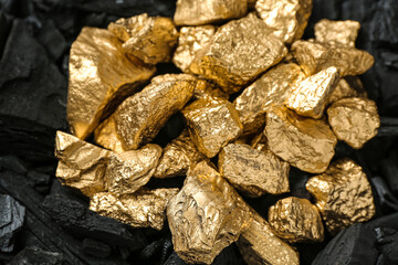 Golden nuggets on black charcoal, closeup
