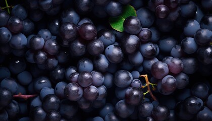 Fototapeta premium Black grapes background