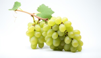 Obraz premium White grapes in white background 