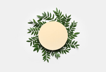 Green leaves of acacia tree with round blank card on white background