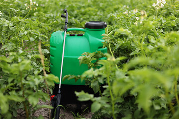 Plastic green backpack container sprayer with liquid of pesticide, herbicide for protecting plants from diseases and pests stands in vegetable garden with potato blooming. Agricultural seasonal work