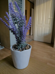 Lavender in a pot on the table in the room