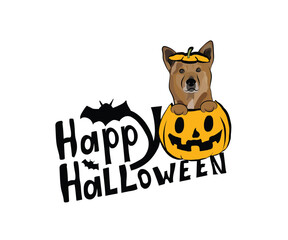 Happy Halloween postcard with Canaan dog peeking out from the pumpkin. Dog head in pumpkin with paws. October hand-drawn calligraphy with halloween funny icons. Festive Creative Halloween Art Work. 