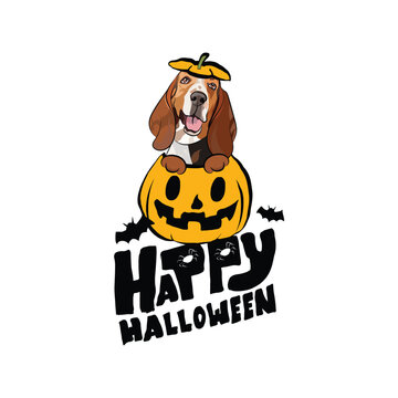 Happy Halloween postcard with basset hound dog peeking out from the pumpkin. Dog head in pumpkin with paws. October hand-drawn calligraphy with halloween funny icons. Festive Creative Halloween Art.