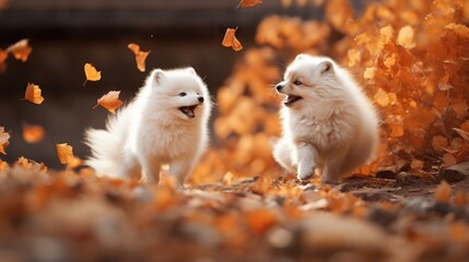 Arctic foxes rolling joyfully in a bed of fallen leaves, their mischievous eyes sparkling with energy as their fur becomes adorned with the colors of autumn.