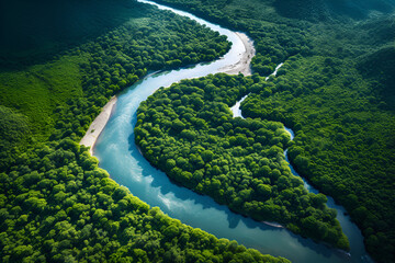 An Aerial View of A Pristine Rainforest River 