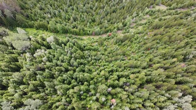 Drone Aerial Down Nature Video Shot of Highway and Trees in British Columbia Beaver Canada
Drone Video: Forest, Trees, Highway | Looking Down View Backwards Motion Showing Aerial of Trees an Highway