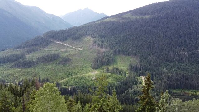 Treed Forest Aerial Inshot to Valley and Mountains - Beautiful British Columbia. Slow-moving drone going forward towards a scenic valley view.