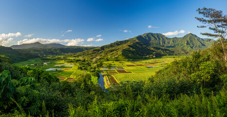 Broad panorama of an early morning view over the Hanalei valley and wildlife refuge from the...