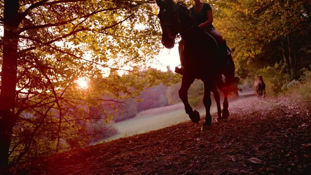 Horse Rider Fall Images – Browse 109,507 Stock Photos, Vectors, and ...