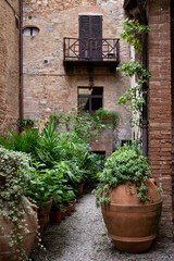 Fototapeta na wymiar Small italian garden with clay pots full of plants