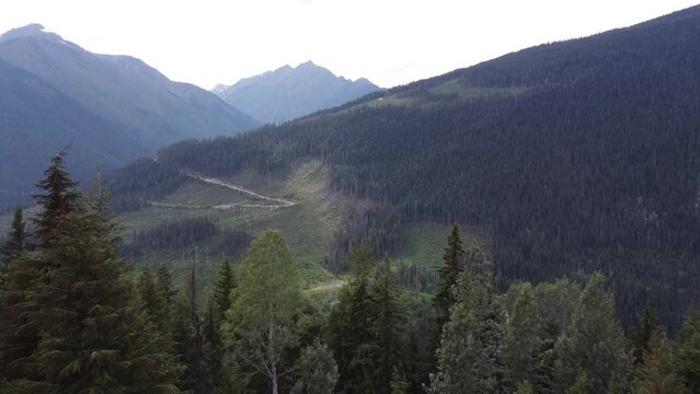 Short Aerial Reverse Drone Shot of Mountain Valley Landscape. Beautiful view of a valley full of greenery and natural beauty. Outward reverse shot from Forest Valley to the trees. BC Canada.