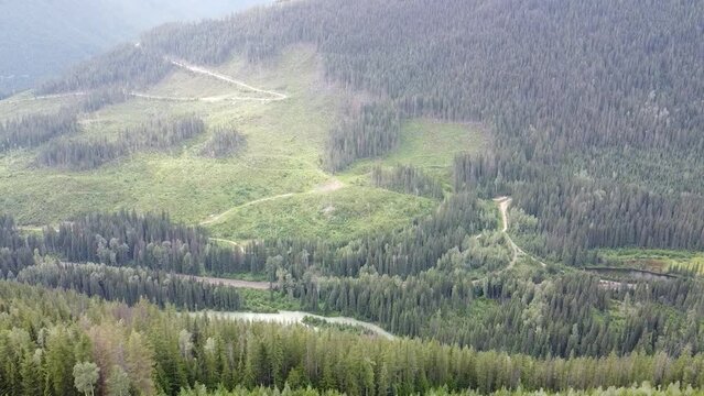 Aerial Forest Valley Landscape View - back, left, down motion. Experience the enchanting Rocky Mountain forest valley from above with a magical aerial view.