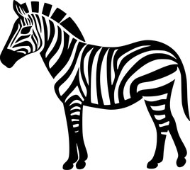Fototapeta na wymiar Zebra - Black and White Isolated Icon - Vector illustration