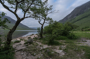 Fototapeta na wymiar Scenic landscape on the coast of Loch Etive. 