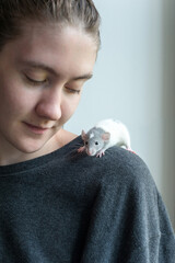Portrait of little baby rat sitting on young girl shoulder