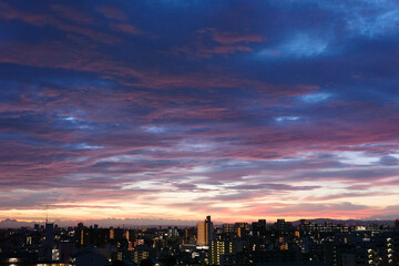 Fototapeta premium 都市の夜明け。東の空が明るくなり雲がまだ昇る前の太陽に照らせら美しいグラデーションを見せる。神戸市内から大阪方面を臨む