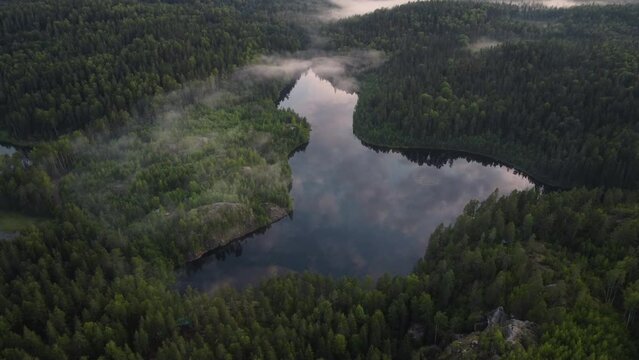 Circular flight around the forest picturesque lake. Atmospheric view. a bit of fog