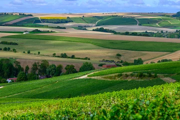 Fototapeten Hills with vineyards in Urville, champagne vineyards in Cote des Bar, Aube, south of Champange, France © barmalini