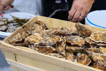 Fresh french Gillardeau oysters molluscs in wooden box ready to eat close up