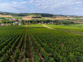 Fototapeta na wymiar Aerial view on hilly vineyards and village Urville, champagne vineyards in Cote des Bar, Aube, south of Champange, France