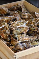 Fresh french Gillardeau oysters molluscs in wooden box ready to eat close up