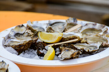 Fresh french Gillardeau oysters molluscs shucked on ice with lemon ready to eat close up